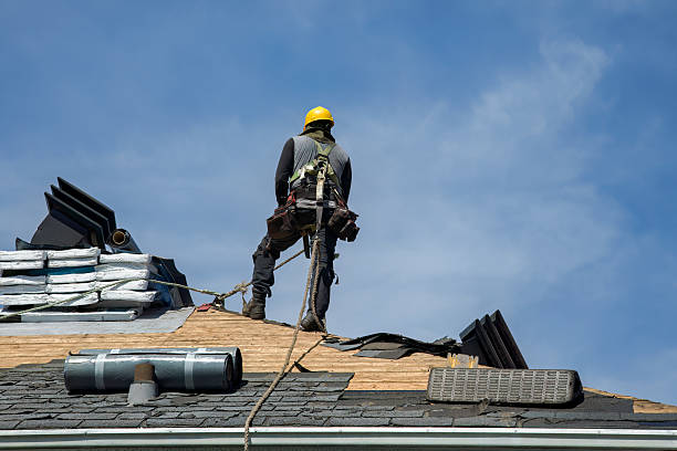 Professional Gutter Installation technician working in Burgess, VA